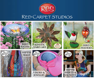 Red Carpet Studios 300 x 250